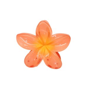 Super Bloom Clip in Peach Spritz